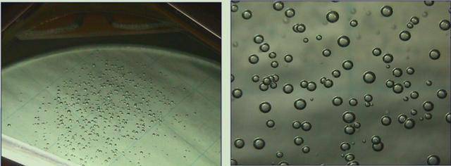 驾驶舱风挡玻璃常见缺陷及检查要点