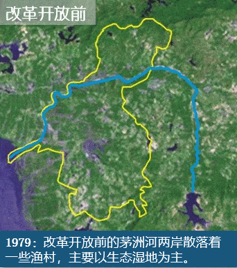 五位一体,四步推进,深圳茅洲河的华丽变身记!_流域