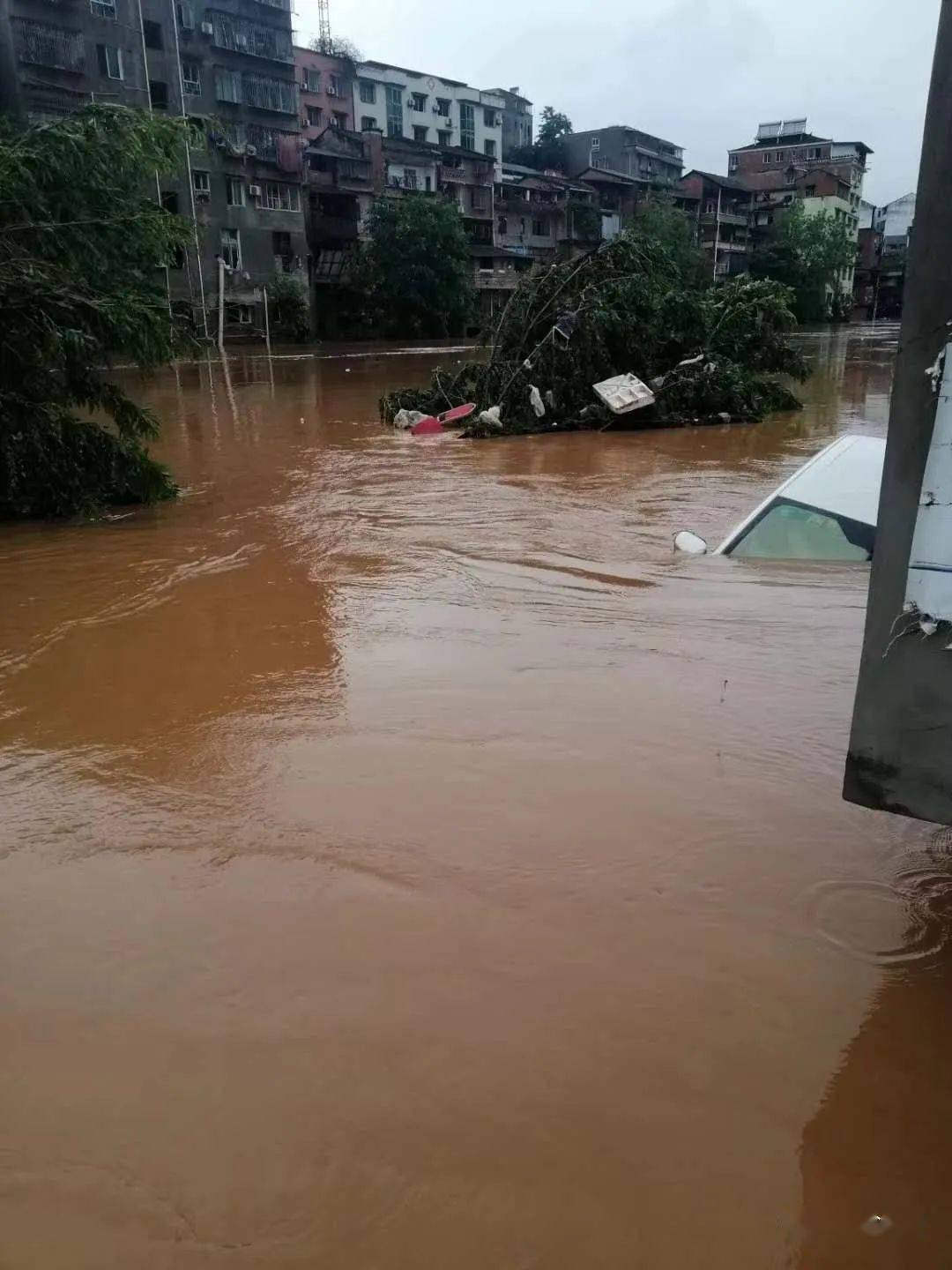 古蔺县,合江县立即启动县级防汛抗旱和地灾防治应急响应,组织水务