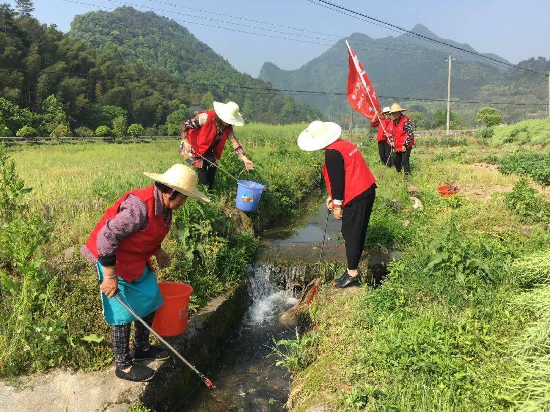 沙墩头村图片