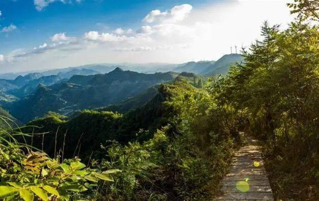 石柱七曜山不可错过的神秘避暑胜地