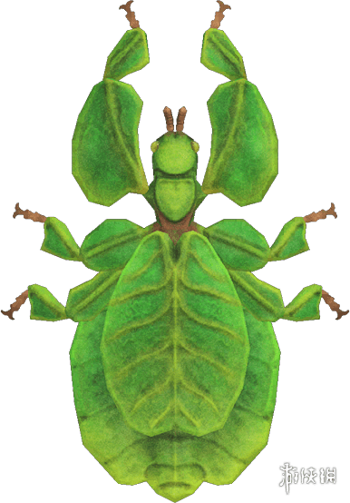 动物森友会》7月夏季捕虫大会昆虫一览!