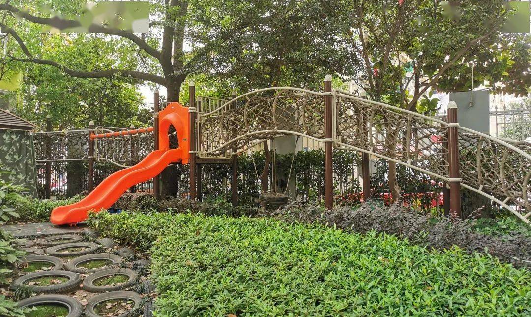 家门口的好幼儿园丨乐运动,享自然,一起走进黄浦区奥林幼儿园