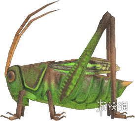 动物森友会》7月夏季捕虫大会昆虫一览!