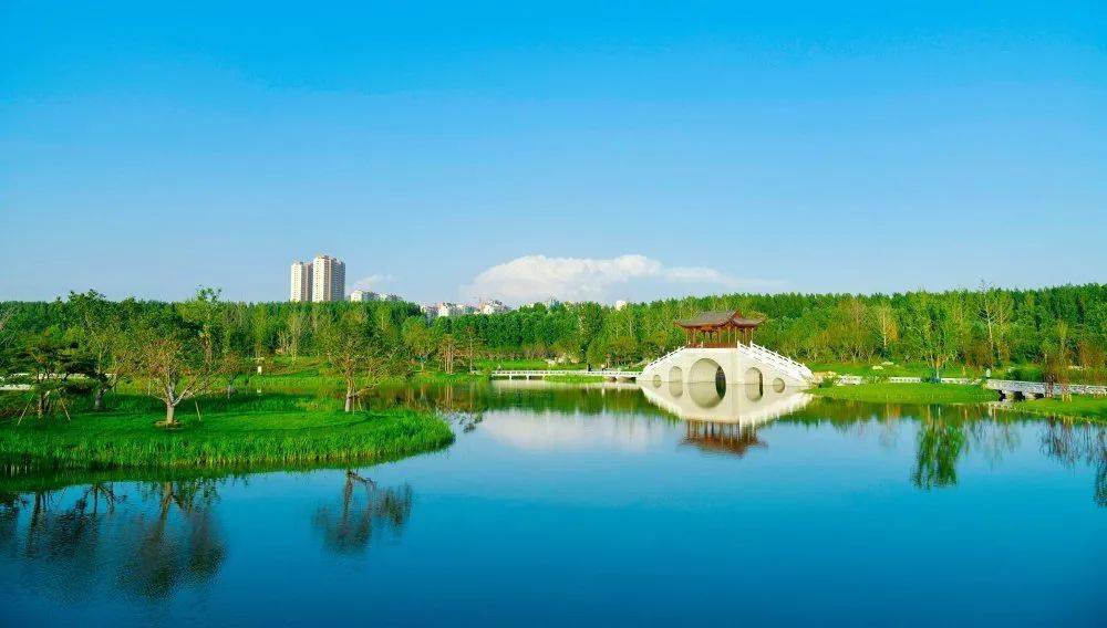 中国十大最美湿地公园图片