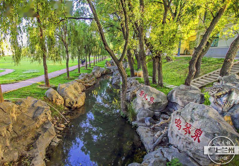 魅力拆桥湾丨九眼泉河州第一泉