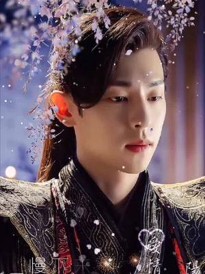 allen凤凰动态壁纸来了邓伦