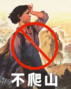 超火的"一起爬山吗"表情包:醒醒,起来爬山了!