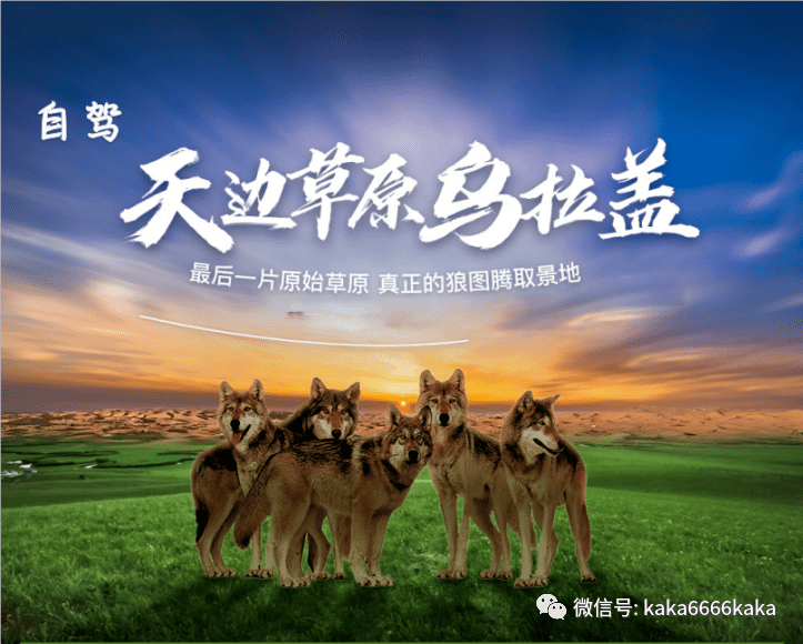 天边草原乌拉盖7月11首发自驾乌拉盖草原解密狼图腾6日游穿越环游草原