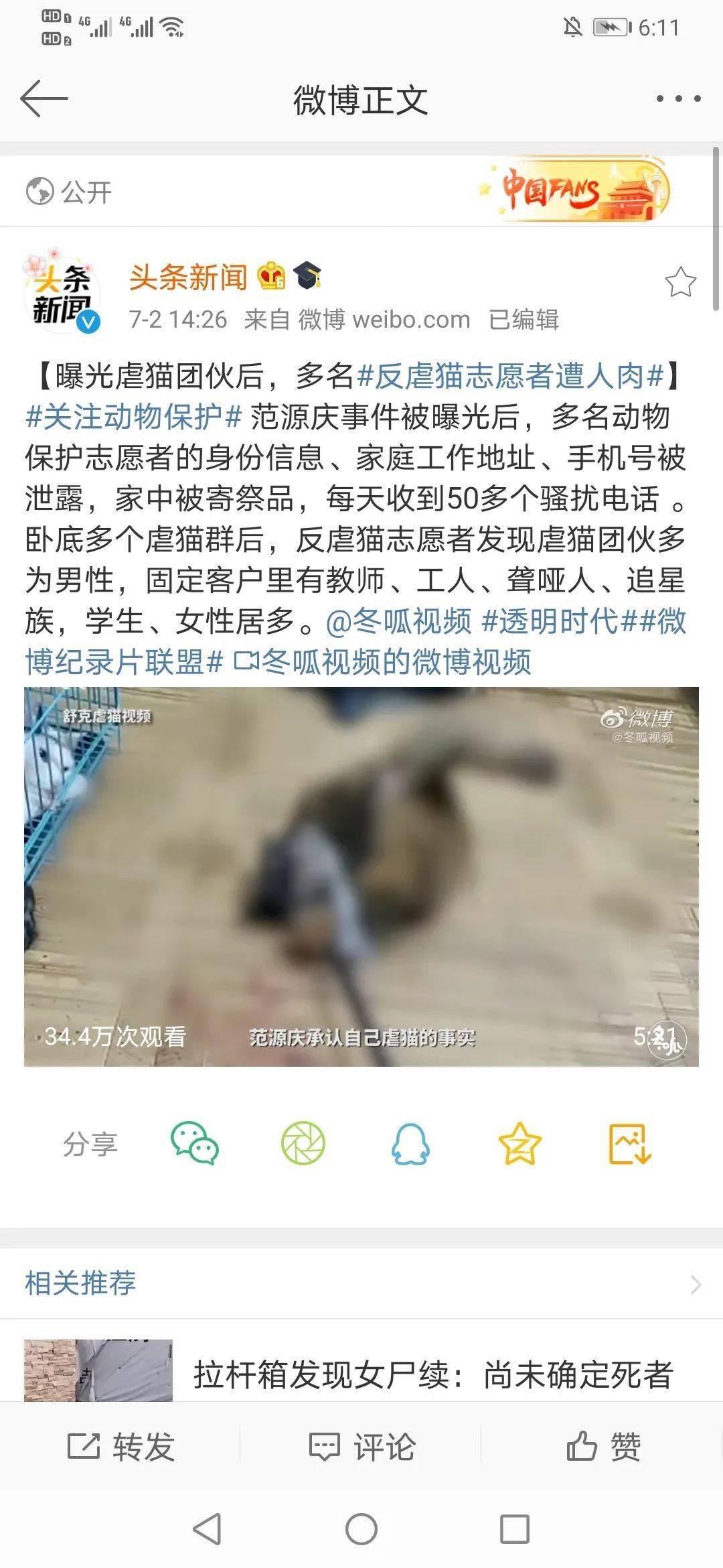 人性至暗时刻虐猫黑色产业链揭秘者反遭人肉