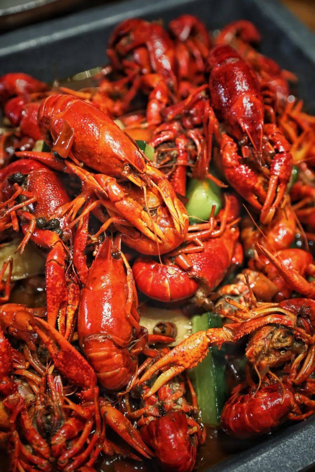 小龙虾19.9元/斤!温州惊现魔性夜宵馆,铁了心想引爆全城!