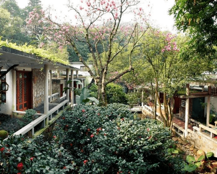 白云山庄旅舍◆杰出贡献:丁健达从事园林工作近30年,从施工到设计