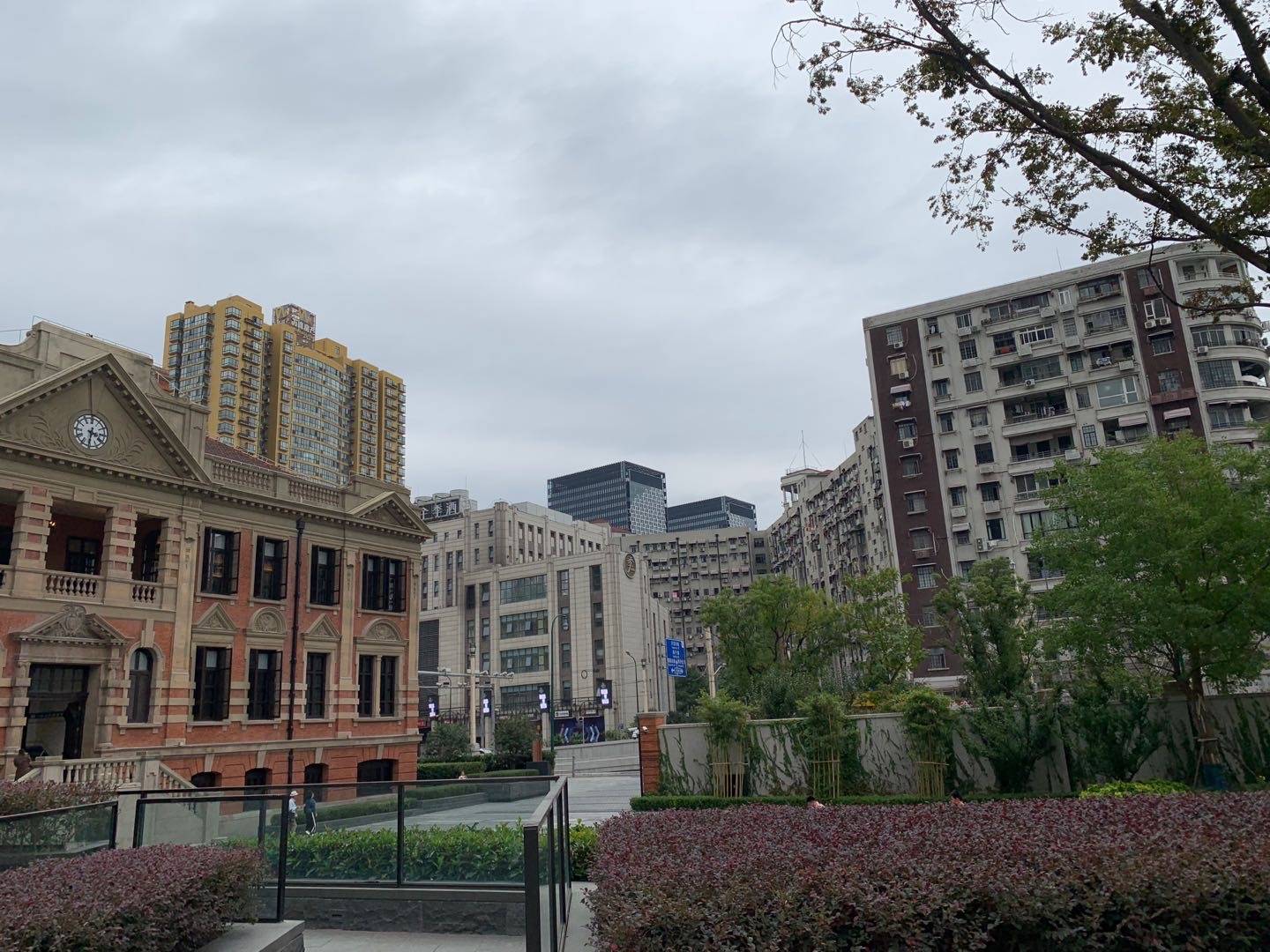 沿苏州河而行·访谈|陈仲伟:在河滨大楼做"田野"