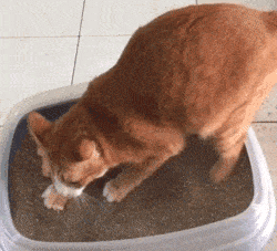 你家有尿床精吗?害你半夜洗床单,逼疯你那种