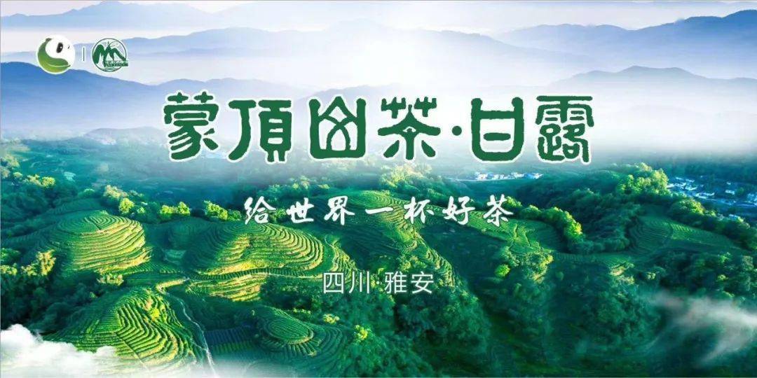 蒙顶山茶荣膺四川省首个中国气候好产品