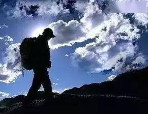 流浪狗赖上背包客,一人一狗就这样一起走了5000多公里_手机搜狐网