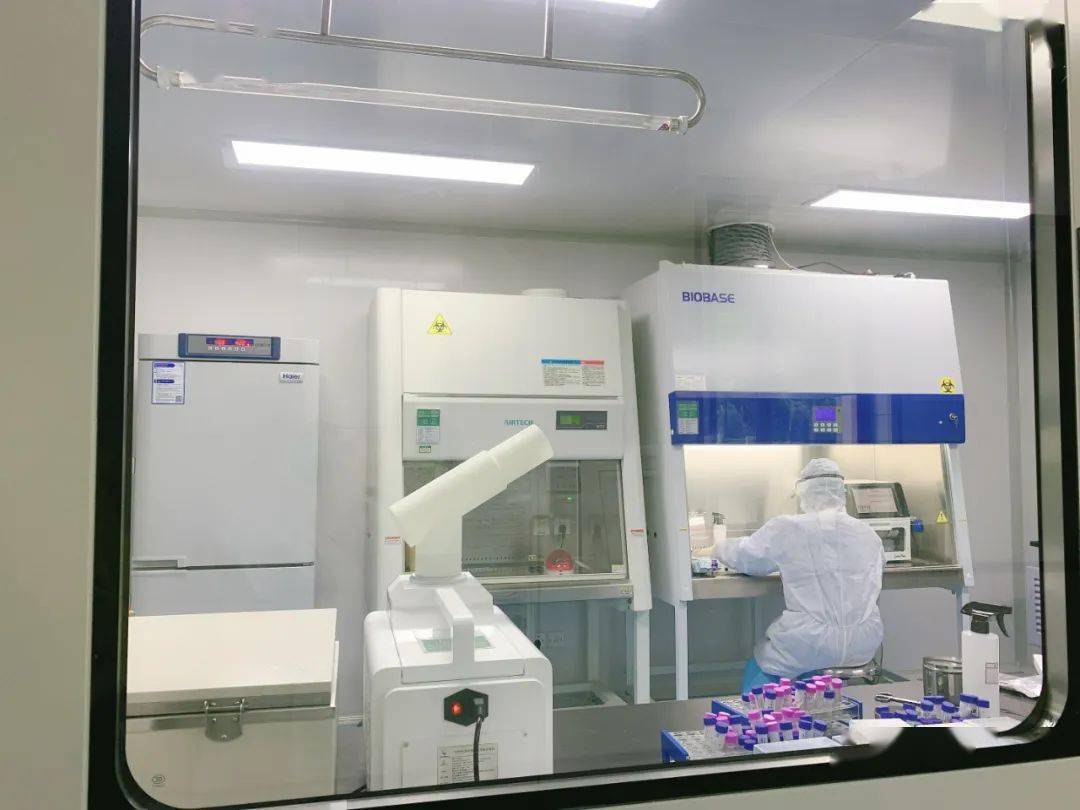 松阳县人民医院pcr实验室通过初审正式开展大规模新冠病毒核酸检测