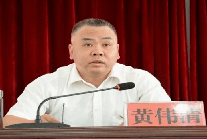 郴州市水利局局长黄伟清接受审查调查