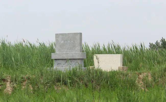 艺术设计学67院党总支书记姜灵一行到商河县张坊镇实地调研_麦丘