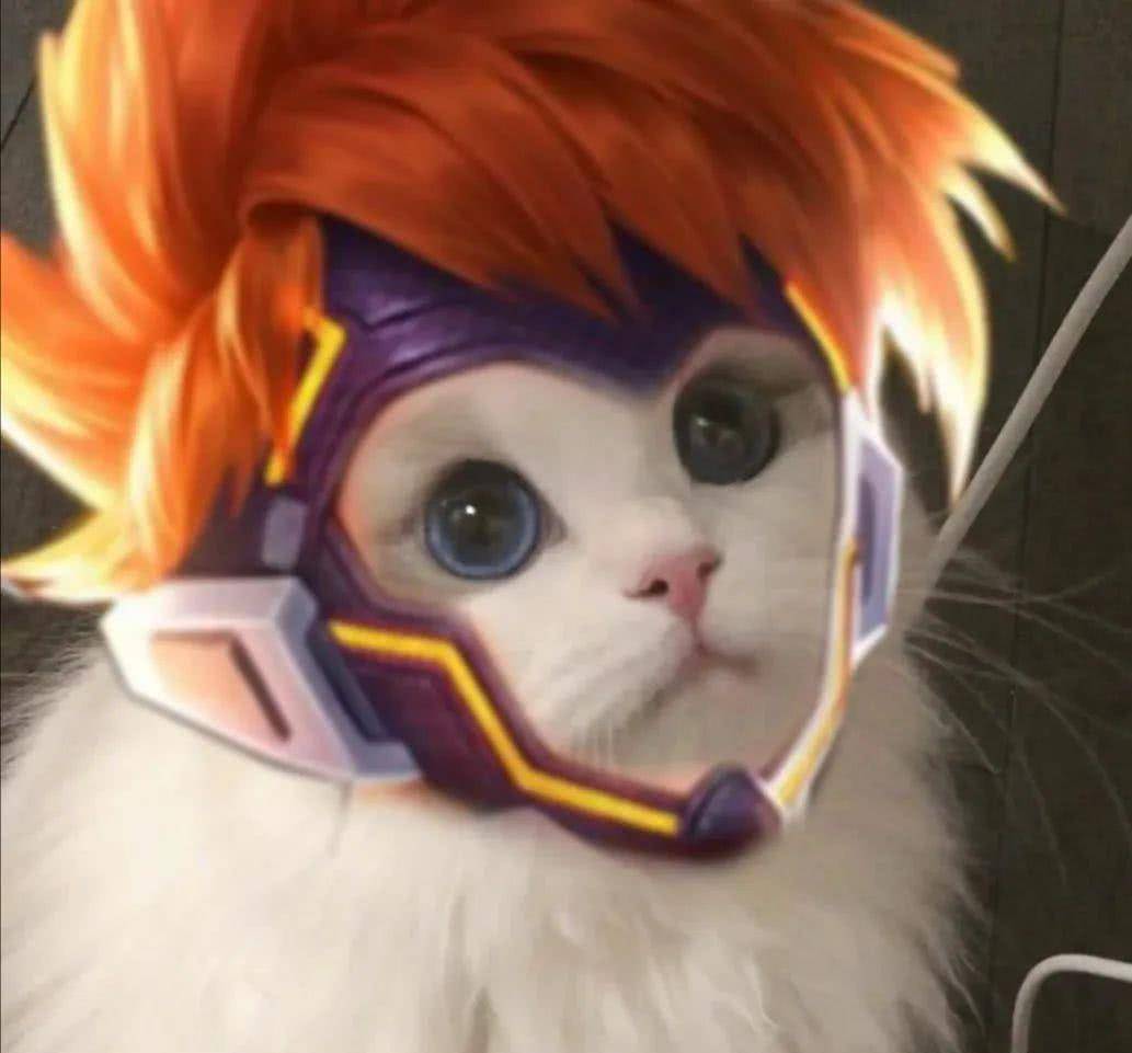 最近很火的王者荣耀猫头表情包大家看看哦