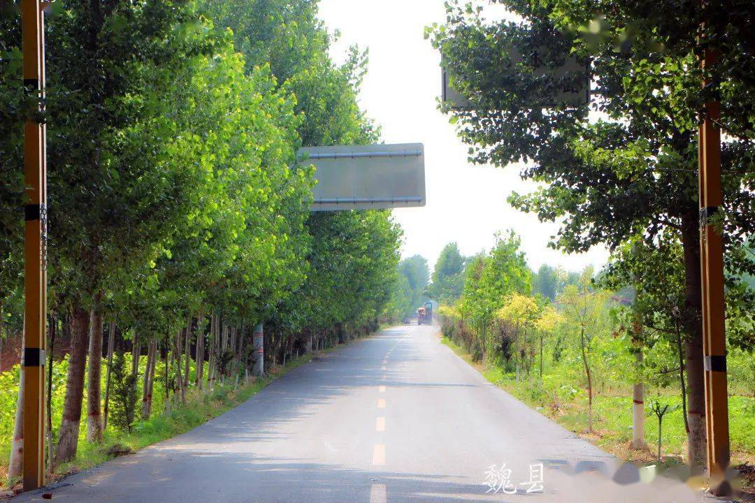 交通| 魏县美丽公路,既有"颜值"更有"内涵"