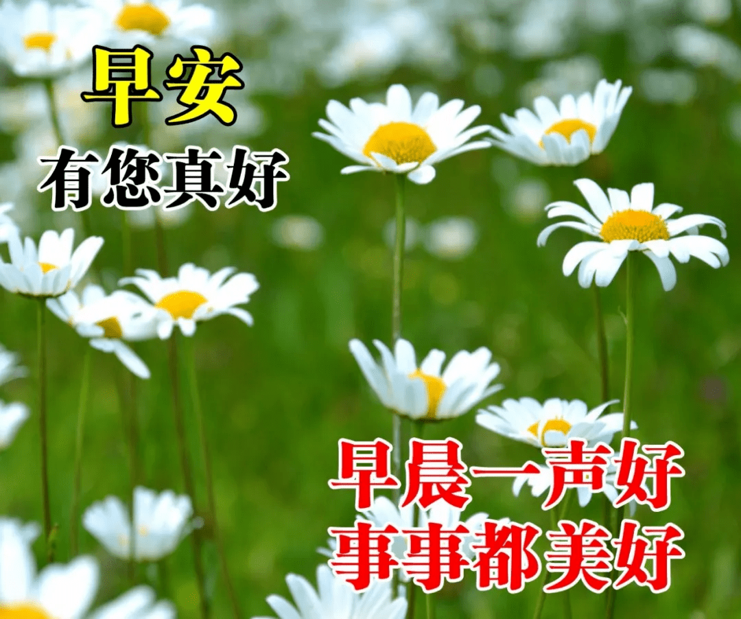 微信早上好经典问候祝福语句子清晨漂亮的美女图片早安祝福语