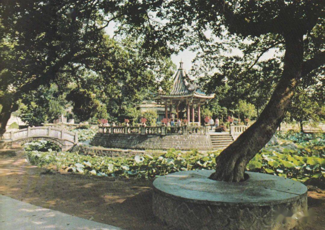 莲心亭西湖公园鳌谷游廊潮 州凤凰山水电厂鹤塘乡新貌凤凰山风光凤凰