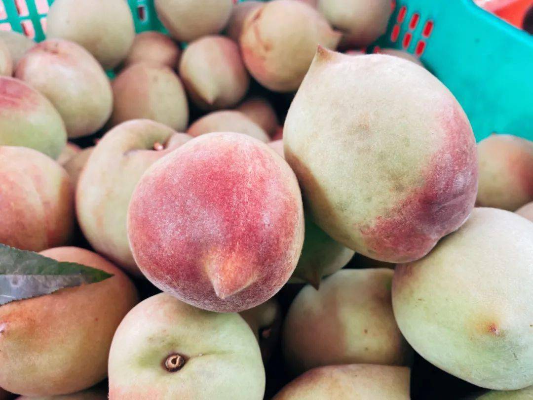 乡村新闻官连山播报57桃不过的蜜汁美味等你来品