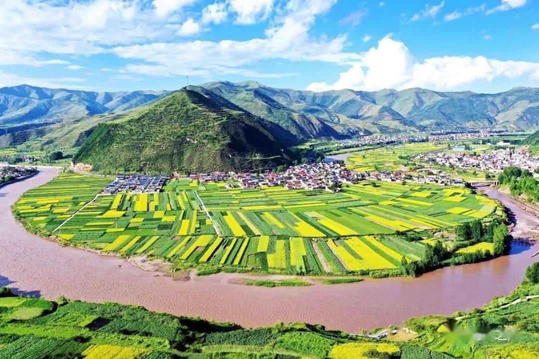 七月岷县:油菜花儿开!_岷州