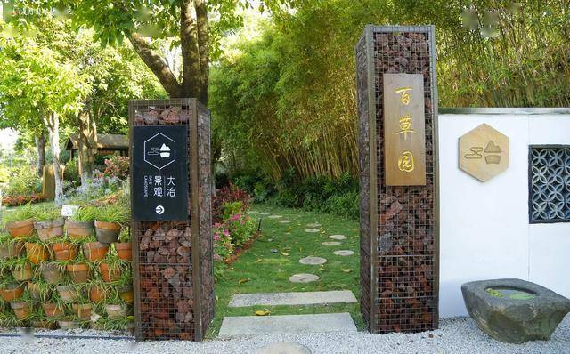 打卡!厦门版"百草园",超千种中草药,2万㎡展区,就在园博苑