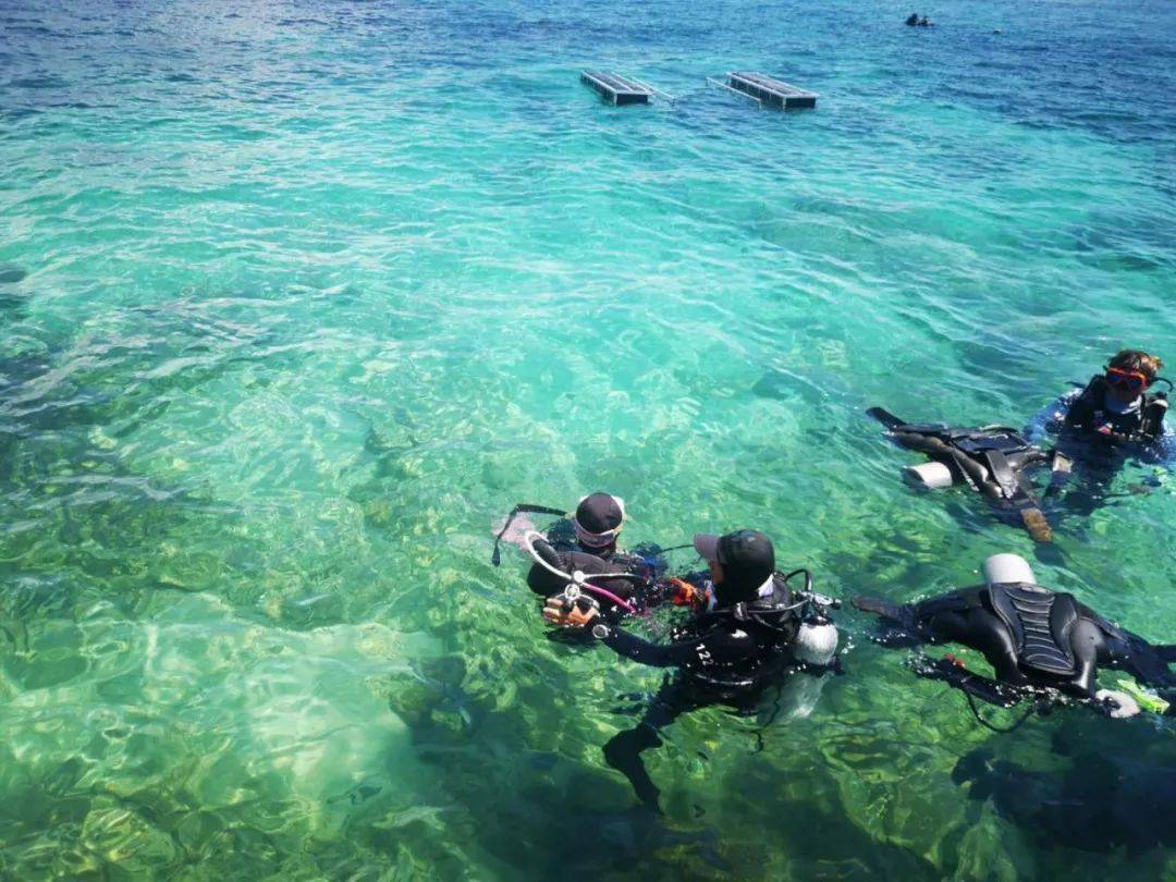 七班 蜈支洲潜水行程回顾及招募(优惠活动到7月31日止)67_蜈支洲岛