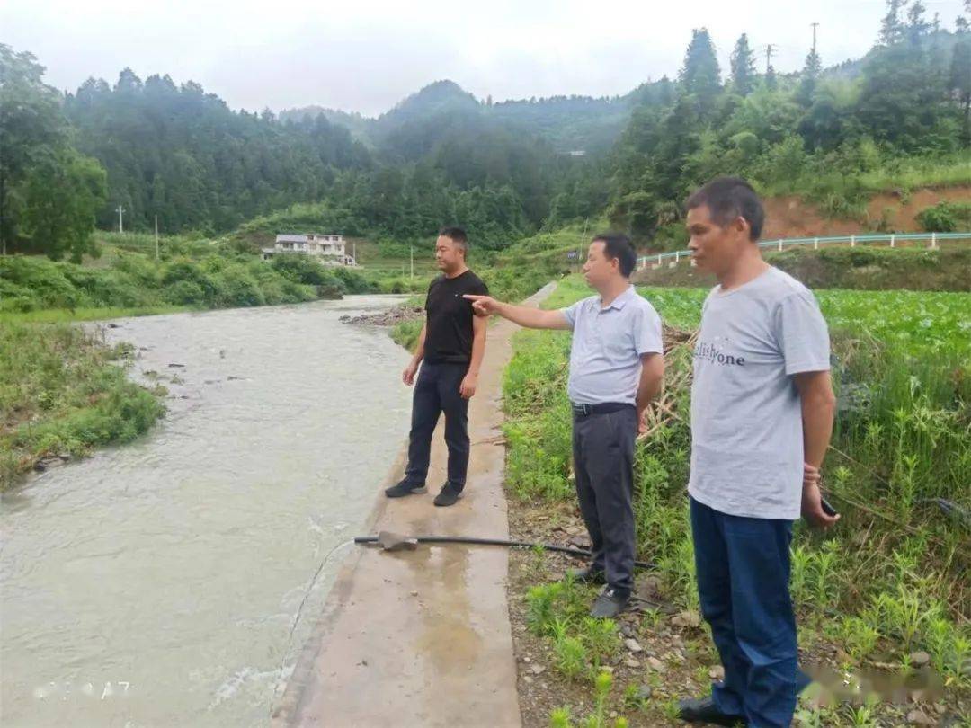 【乡镇动态】江口县闵孝镇:守护青山绿水 人大代表在行动
