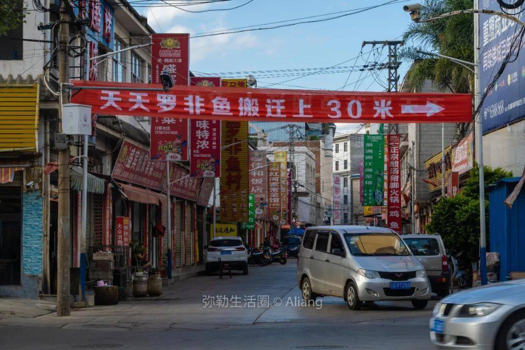 弥勒保平村里不起眼的18年鱼王用牛奶煮汤有人带着锅来打包