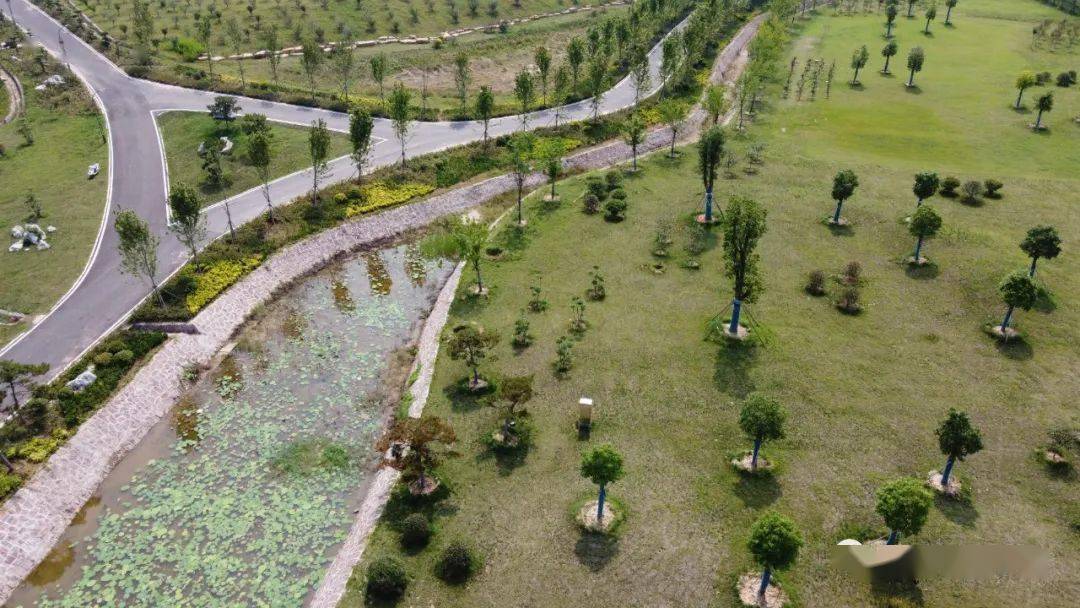 大美鄢陵,鄢陵长寿山全景视频和vr全景