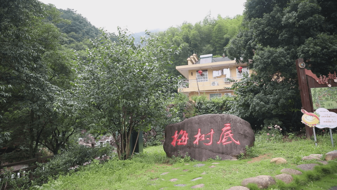 走向我们的小康生活 | 东案乡梅树底村:山区变景区 生态富农奔小康