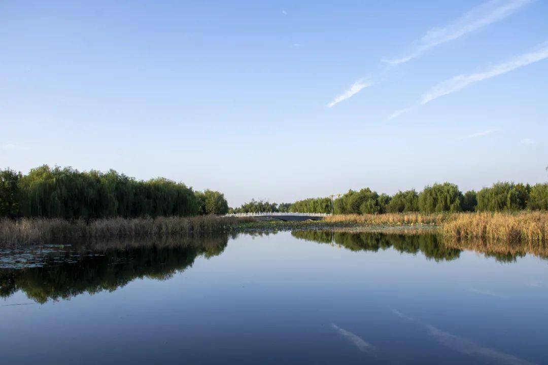 李光良《禾和湿地美景》