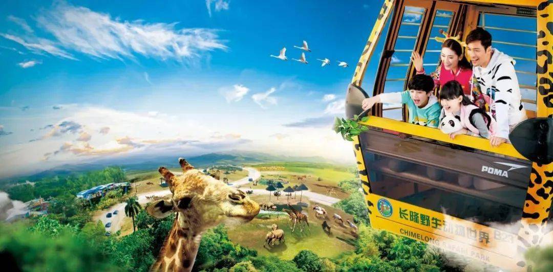 动物园,必选广州长隆野生动物世界,萌帅酷!