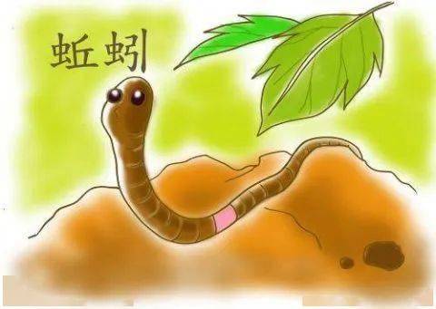 原创儿歌蚯蚓外9题