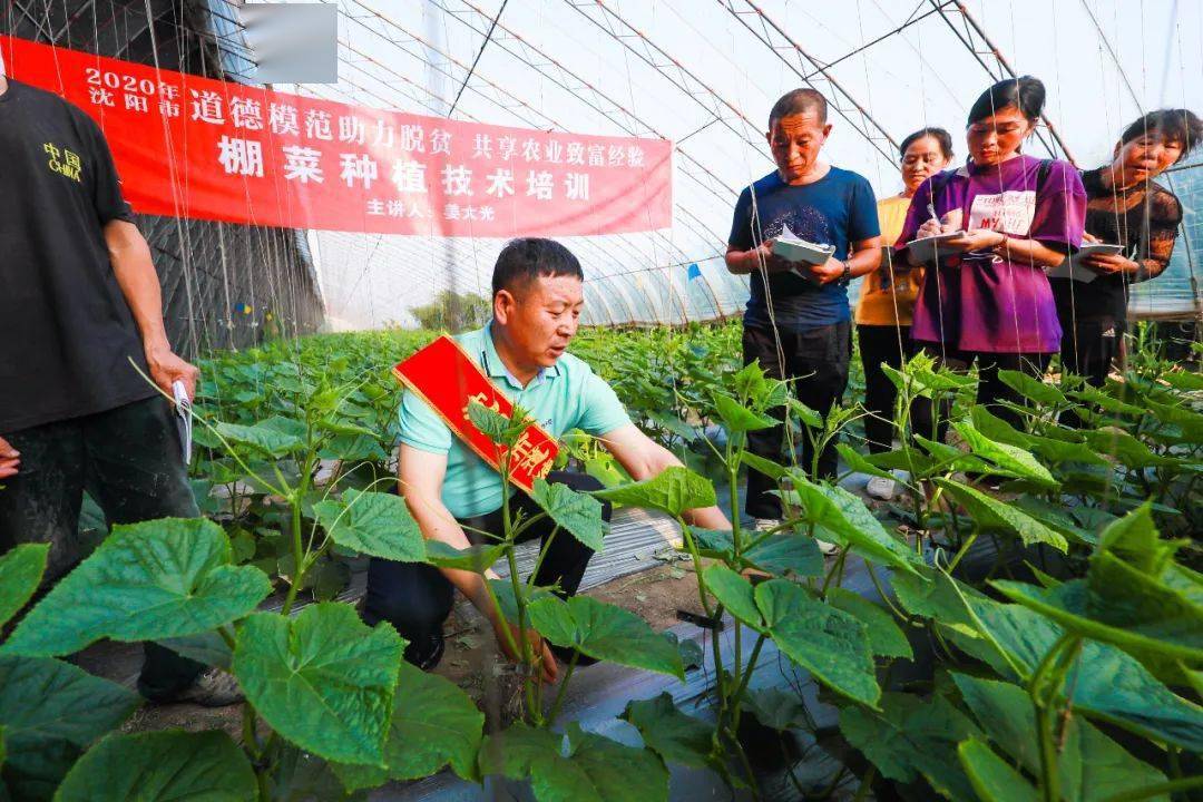 沈阳道德模范姜大光:让乡亲们少走弯路 都走上富裕道路