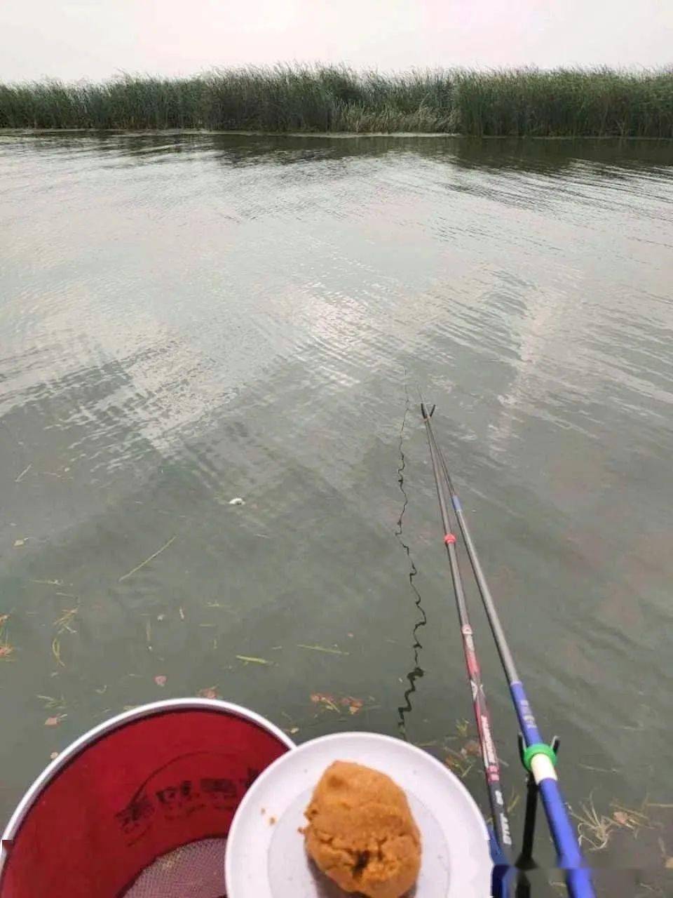 雨天好钓鱼去阳澄湖狂拉