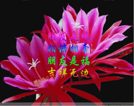 一首《珍惜》送给我最在乎的朋友!