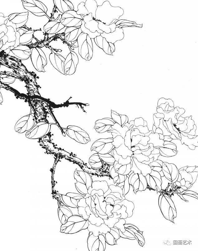 资料分享一组漂亮的工笔白描花鸟