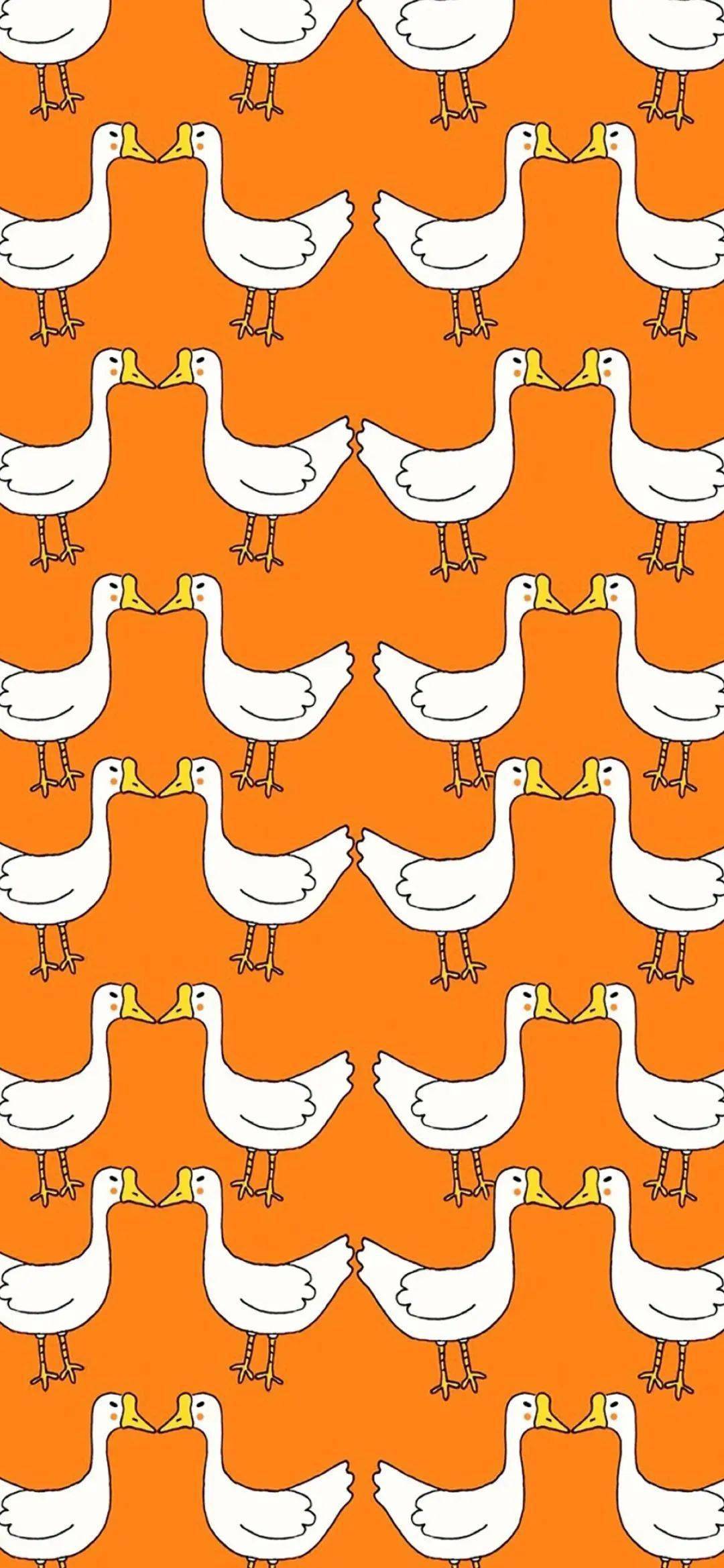 可爱的呆头鹅壁纸白白胖胖最阔爱