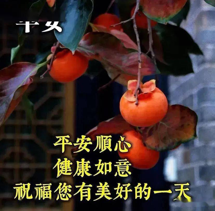 早晨漂亮祝福圖早上好問候句子