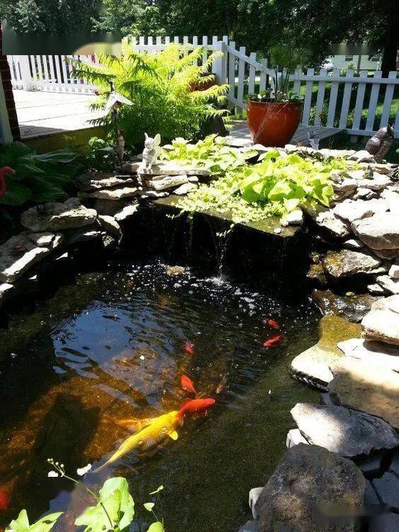 收藏 | 吉地不可无水,24款荷花鱼池合集,必有一款适合你家