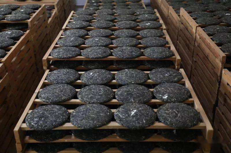 五,茶叶较多时如何储存?