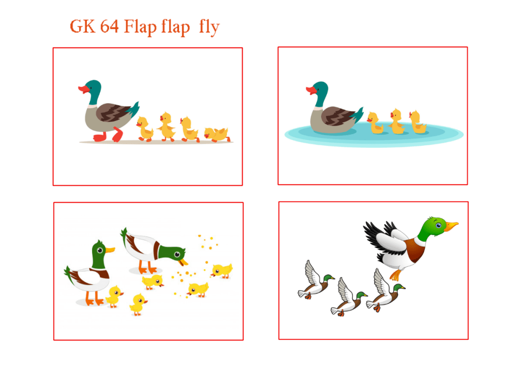 海尼曼gk听说读看64flapflapfly