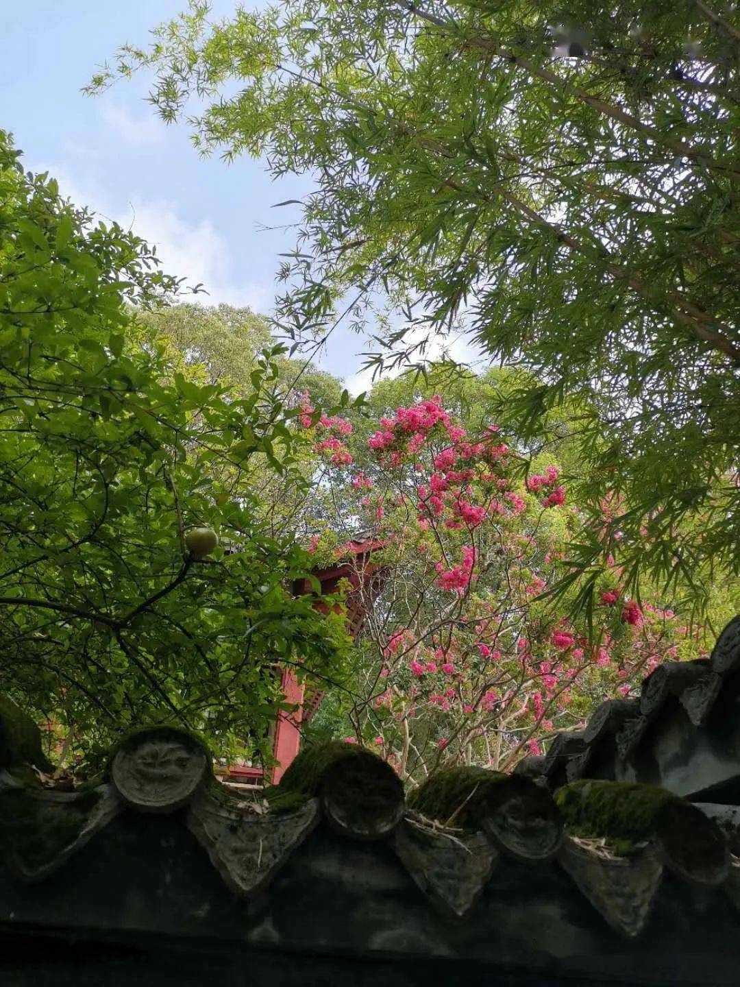 昌明河的涛声依旧那壶装满盛唐月光的花间酒一直在等候等候那个邀月的