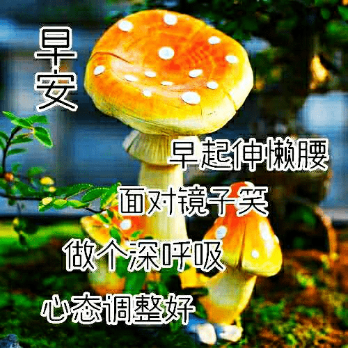 特別好看的早上好圖片清晨祝福語 非常漂亮的早上好短信祝福圖片