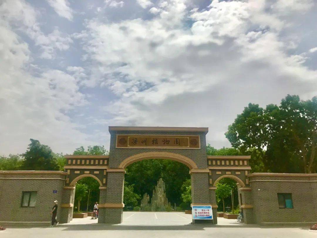 武威核桃园大变身新面貌首次曝光